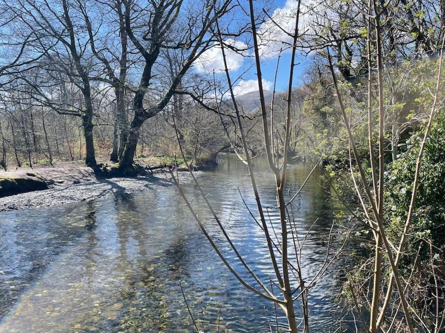 5 Minutes From Loch Lomond - Newly Renovated Ground Floor 1-Bed Flat Lejlighed Bonhill Eksteriør billede